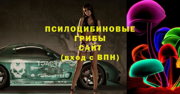 амф Абинск