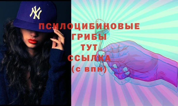 амф Абинск