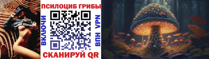 Галлюциногенные грибы мицелий  купить закладку  mega зеркало  Новоалександровск 